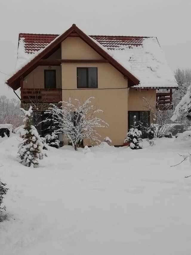 Гостевой дом Pensiunea Mara Deseşti-19